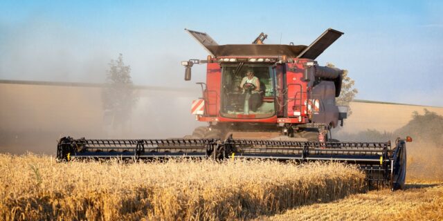 Úroda zemědělských plodin v Česku klesla o miliony tun