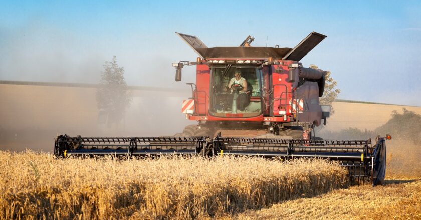 Úroda zemědělských plodin v Česku klesla o miliony tun