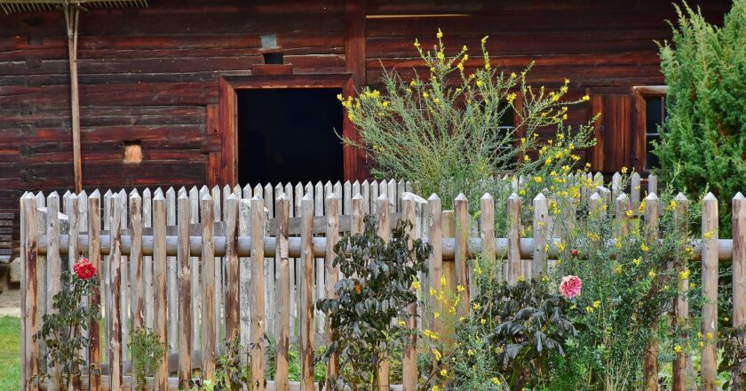 V létě se do zvelebování domácností a zahrad pustí padesát tři procent Čechů