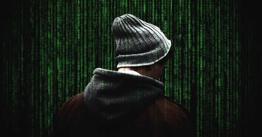 Téma: V Česku roste počet útoků na uživatelská hesla