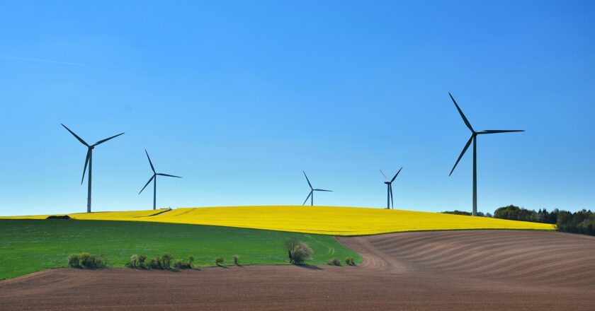 Pětina energetické spotřeby v EU pocházela z obnovitelných zdrojů