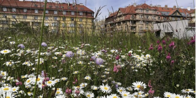 PVK aktivně přispívají svými projekty k plnění klimatického plánu hlavního města Prahy