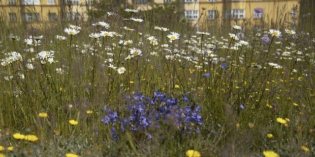 Pražské vodojemy získaly za svá inovativní řešení Cenu Prahy Adapterra Awards 2025 