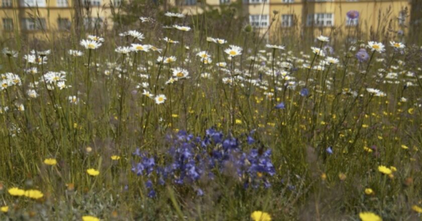 Pražské vodojemy získaly za svá inovativní řešení Cenu Prahy Adapterra Awards 2025 